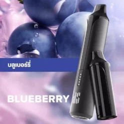 Ks Quik Pro 15000 Puff Blueberry starter Kit